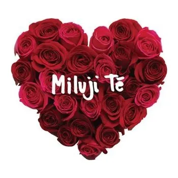 Česká hudba Miluji tě (CD) - Různí interpreti