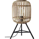 Brilliant Woodrow 93775/20