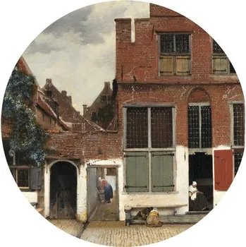 Fototapeta Fototapeta vliesová Ulice v Delftu 95 cm