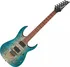 Elektrická kytara Ibanez RG421PB-CHF