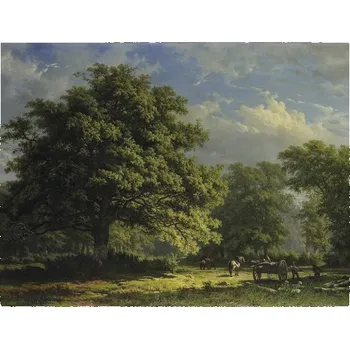 Fototapeta Fototapeta vliesová Bentheim Forest 340x254