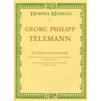 Malá komorní hudba