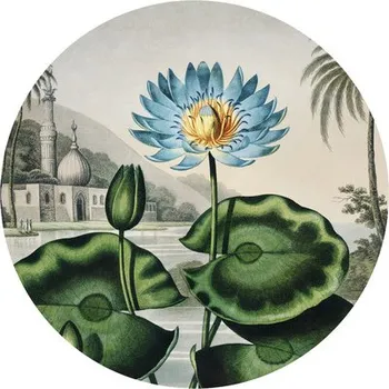 Fototapeta Fototapeta vliesová Leknín 190 cm