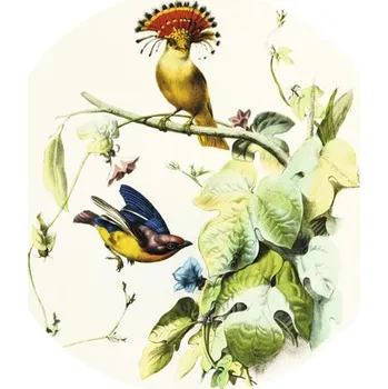 Fototapeta Fototapeta vliesová Pták 1 190 cm