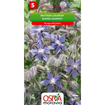 Semeno Osiva Moravia Brutnák lékařský 1,5 g