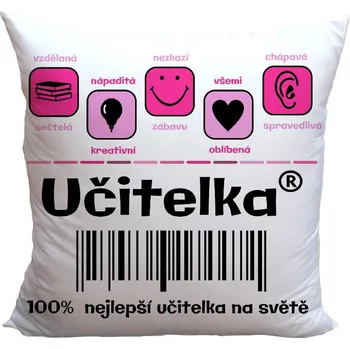 Dekorativní polštářek Polštář 40 x 40 cm - Učitelka 100% nejlepší