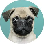 Caketools Jedlý papír "Psi 8" Mops - A4