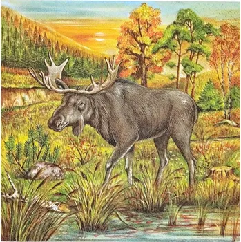 Sběratelská karetní hra Los v divočině