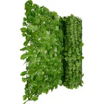 PILECKÝ Umělý živý plot břečťan 1 x 3 m