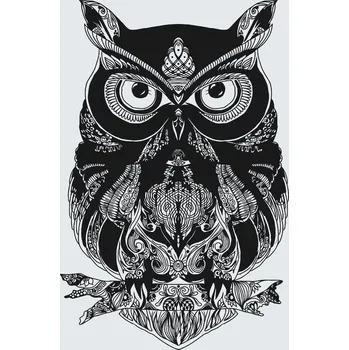 Malování podle čísel - Mandala sova Velikost: 40x60cm, Rámování: Pouze srolované plátno