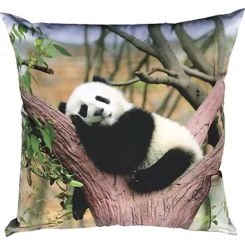 Dekorativní polštářek DADKA VRACOV Fotopolštářek 40 x 40 cm