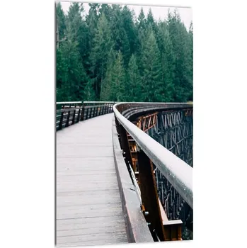 Obraz LuxusniObrazy.cz Obraz - Most k vrcholkům stromů