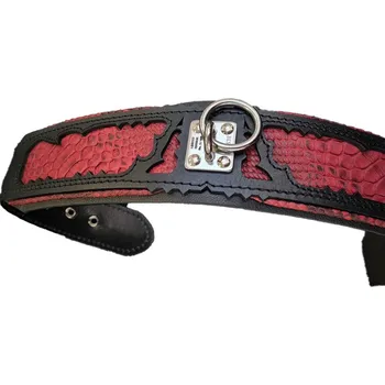 Obojek pro psa Obojek pro psa Bestia Collars Red Dragon Velikost: M
