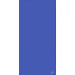 Profigymmat Podložka na cvičení REHA, 200 x 100 x 2,5 cm, modrá