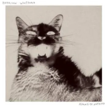 Zahraniční hudba LP Harrison Whitford: Afraid of Nothing 2022