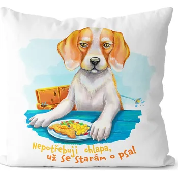Dekorativní polštářek Polštář Pes vs. partner (Velikost: 40 x 40 cm)
