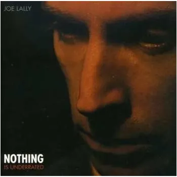 Zahraniční hudba CD Joe Lally: Nothing Is Underrated 2017