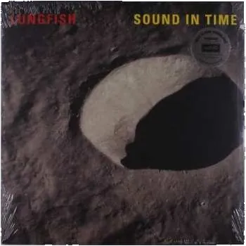 Zahraniční hudba LP Lungfish: Sound In Time 2016