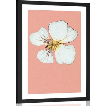 Plakát Dovido Plakát s paspartou něžnost květu kapucínky