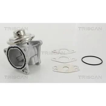 Ventil palivového systému AGR-Ventil TRISCAN 8813 29111