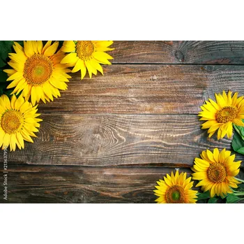 Obklad Skleněný obklad do kuchyně Slunečnice na stole 213637956