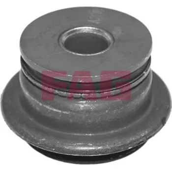 Zavěšení, tělo nápravy Schaeffler FAG 829 0488 10