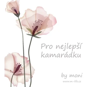 Kartička Pro nejlepší kamarádku