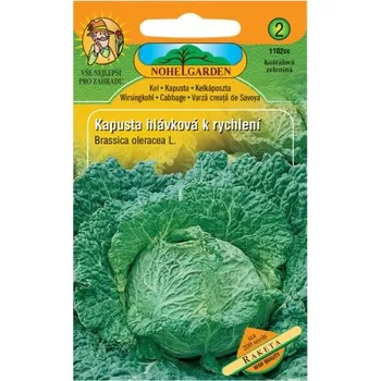 Pěstitelství Kapusta hlávková k rychlení RAKETA