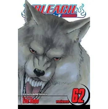 Bleach, Vol. 62 - Kubo, Tite