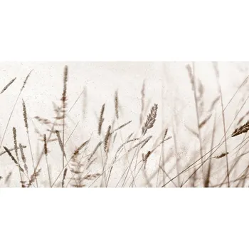 Obklad Keros Icon Gris B 25x50 dekor/tráva/