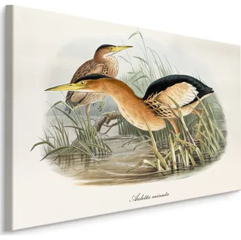 MyBestHome BOX Plátno Vodní Ptáci Varianta: 40x30