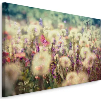 Obraz Plátno Pampelišky Na Louce II. Varianta: 30x20