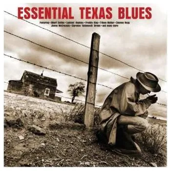 Zahraniční hudba LP Various: Essential Texas Blues 2019 180g Vinyl