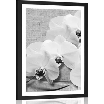 Plakát Dovido Plakát s paspartou orchidej na plátně v černobílém provedení