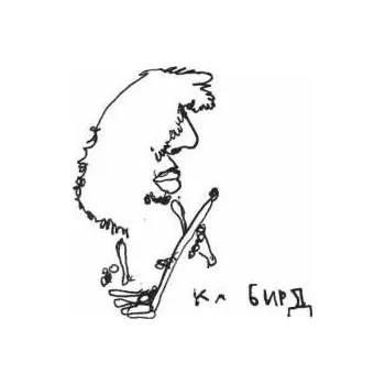 Zahraniční hudba LP Kathleen Baird: Sapropelic Pycnic 2017