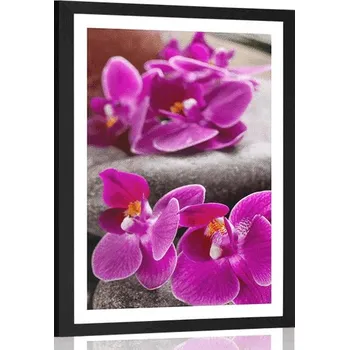 Plakát Dovido Plakát s paspartou nádherná orchidej a Zen kameny