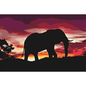 Malování podle čísel - Africký slon při západu slunce Velikost: 40x60cm, Rámování: Pouze srolované plátno