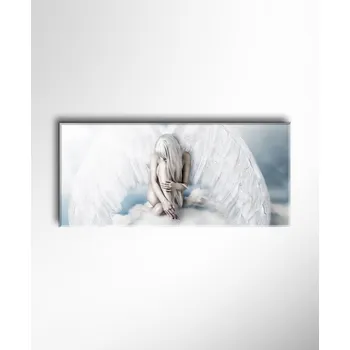 Malvis ® Obraz Anděl v nebi ROZMĚR (šířka x výška): jednodílný obdélník 100x45 cm