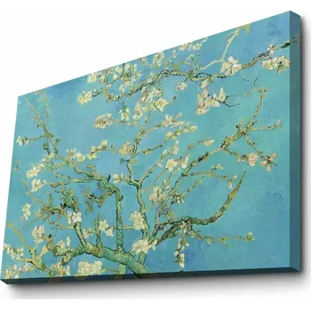 Obraz ASIR Nástěnná reprodukce na plátně 70 x 100 cm Vincent van Gogh Mandlový květ