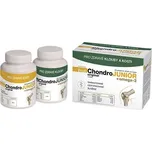 PragoMed ProfiChondro Original Junior…