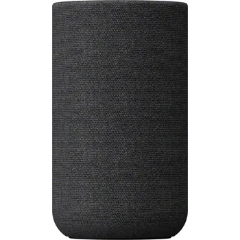 Sony SA-RS5