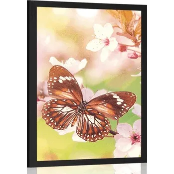 Plakát Dovido Plakát jarní květiny s exotickými motýly