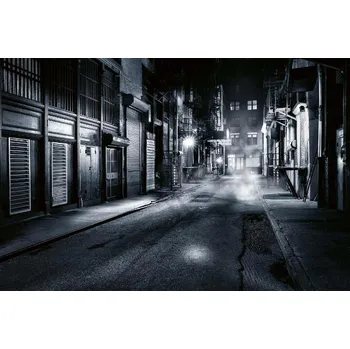 Fototapeta DIMEX | Vliesová fototapeta Čínské město MS-5-0728 | 375 x 250 cm| bílá, černá + Vliesová fototapeta na stěnu DIMEX Čínské město MS50728 v rozměru 375 x 250 cm + lepidlo zdarma