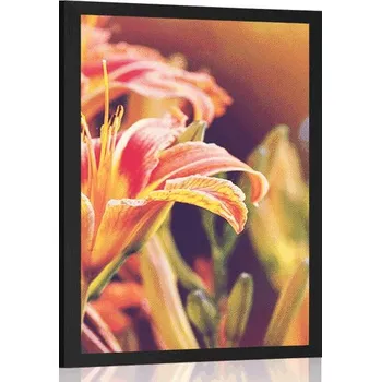 Plakát Dovido Plakát krásně kvetoucí květiny v zahradě