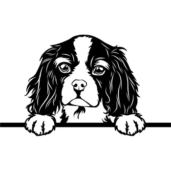 Vsepropejska Kavalír King dřevěná dekorace na zeď Rozměr (cm): 38 x 23, Typ: Kavalír 7