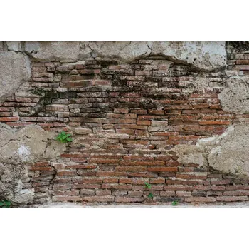 Fototapeta DIMEX | Vliesová fototapeta Prasklá cementová omítka MS-5-2682 | 375 x 250 cm | zelená, červená, béžová + Vliesová fototapeta na stěnu DIMEX Prasklá cementová omítka MS52682 v rozměru 375 x 250 cm + lepidlo zdarma