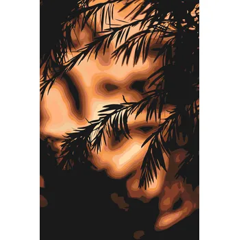 Malování podle čísel - Silueta západu slunce Velikost: 40x60cm, Rámování: Pouze srolované plátno