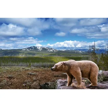 DIMEX | Vliesová fototapeta Krajina s medvědem MS-5-3029 | 375 x 250 cm | zelená, modrá, bílá, hnědá + Vliesová fototapeta na stěnu DIMEX Krajina s medvědem MS53029 v rozměru 375 x 250 cm + lepidlo zdarma