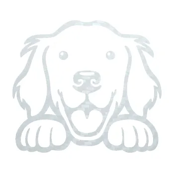 Polep vozidla SAMOLEPKA Pes 175 levá hlavička vykukuje (51 - 3D karbon bílý) NA AUTO, NÁLEPKA, FÓLIE, POLEP, TUNING, VLASTNÍ TEXT, TISK, AUTOSAMOLEPKY.cz, POLEPY, OBRÁZEK, LOGO, SAMOLEPKY