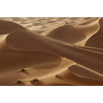 Fototapeta DIMEX | Vliesová fototapeta Saharské duny MS-5-1836 | 375 x 250 cm| krémová, hnědá + Vliesová fototapeta na stěnu DIMEX Saharské duny MS51836 v rozměru 375 x 250 cm + lepidlo zdarma